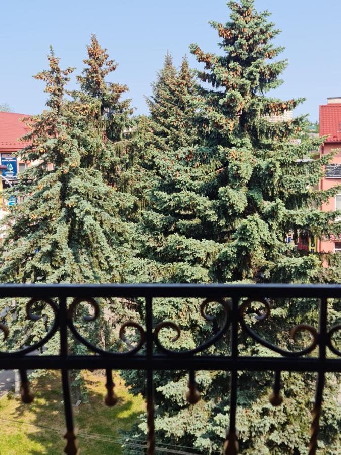 софія *