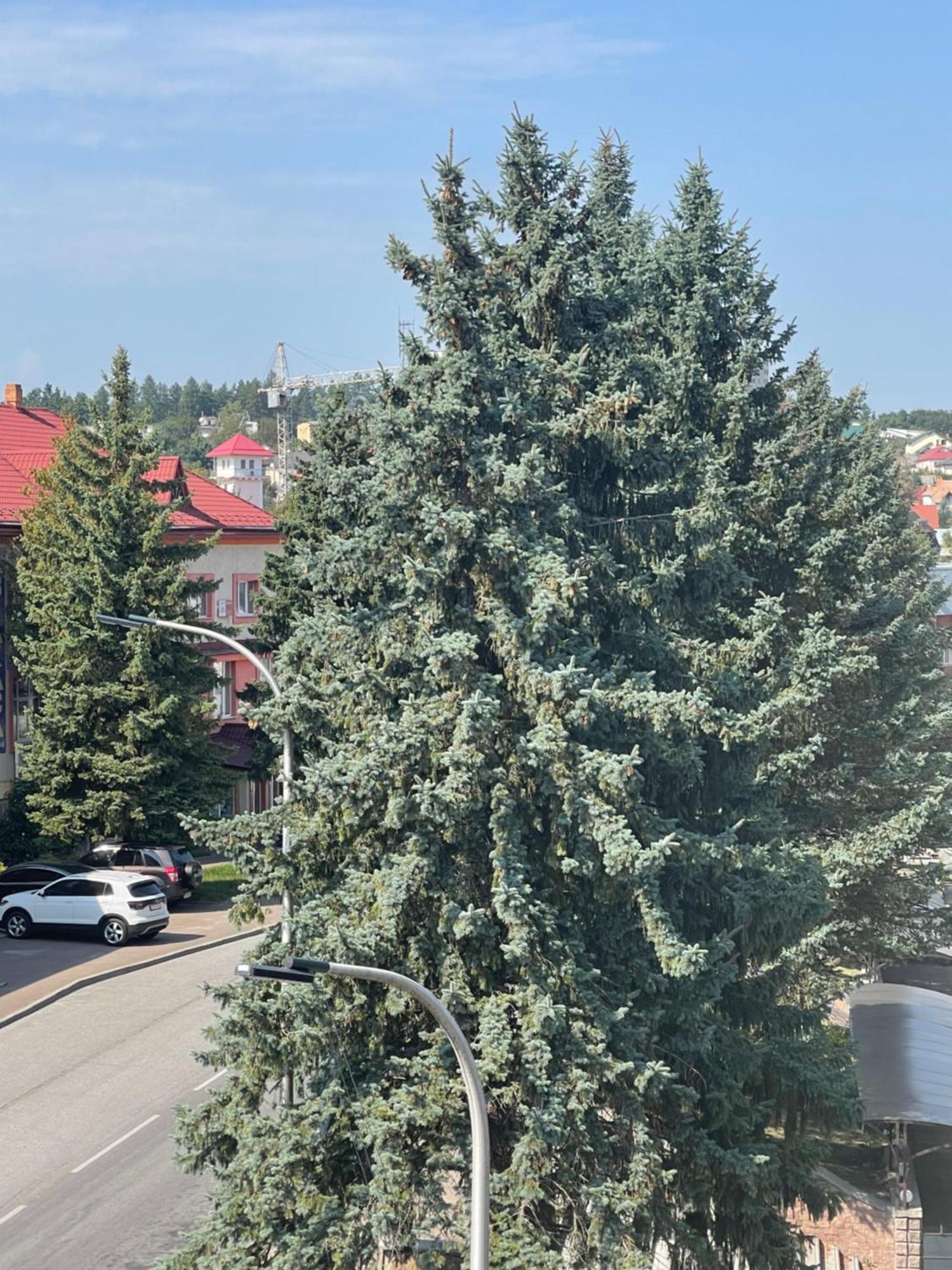 софія * Трускавець